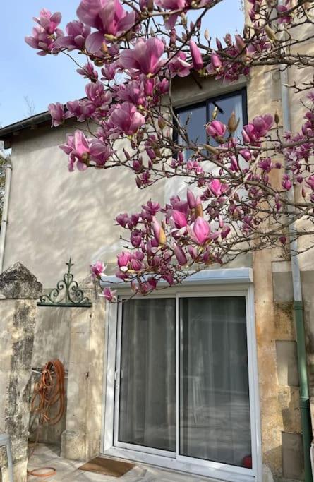 7 Rayons Villa Avignon Kültér fotó