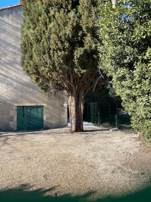 7 Rayons Villa Avignon Kültér fotó