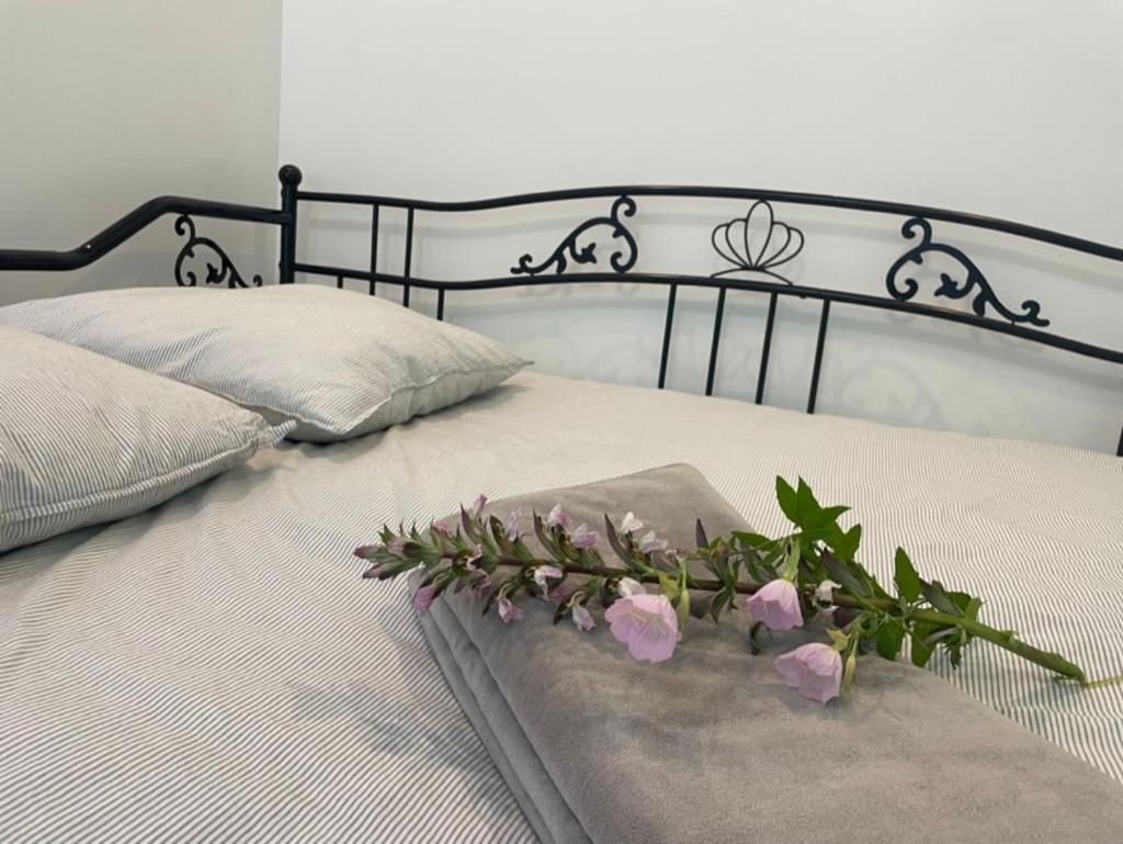 7 Rayons Villa Avignon Kültér fotó